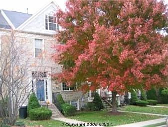 1st image of 11906 Thurloe Dr