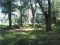 1st image of 304 Celeste Rd
