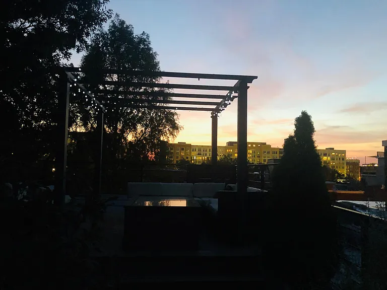 large roofdeck surrounded by trees