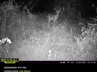 0 Brinson Air Base Rd, Brinson, GA 39825