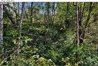 5th image of NE Berry Rd