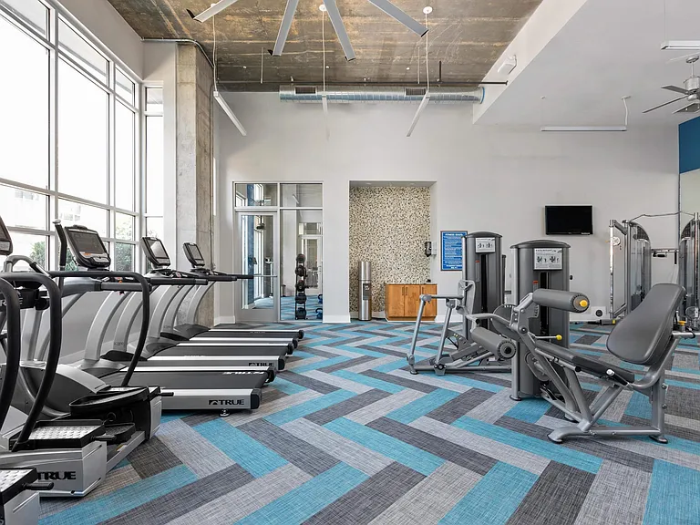Luxury Fitness Center