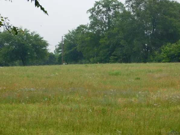 154 W & Arrowwood Rd, Gilmer, TX 75644