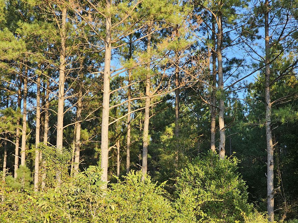 1st image of TBD 87A Charleston Highway