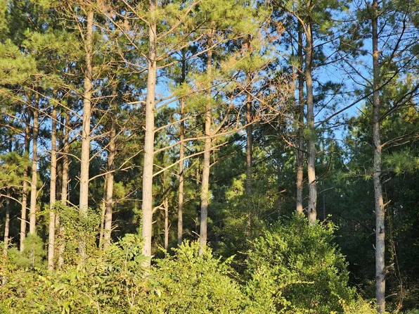 TBD 87A Charleston Highway, Williston, SC