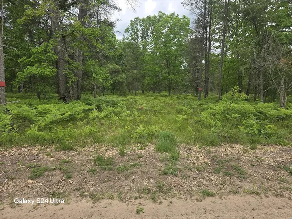 0 S Forman Rd #3, Baldwin, MI 49304
