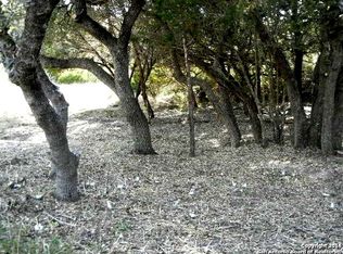 2010 River Way, Spring Branch, TX 78070