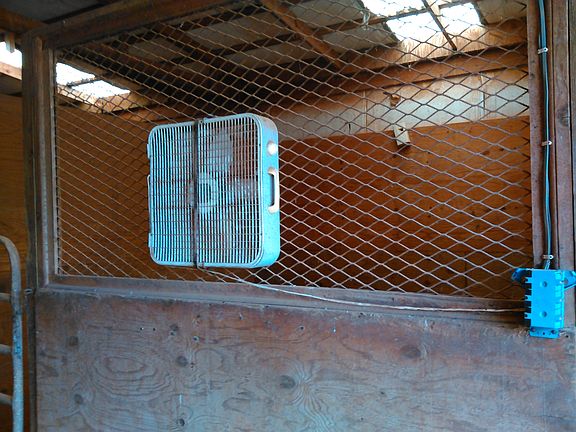 Stall Fronts