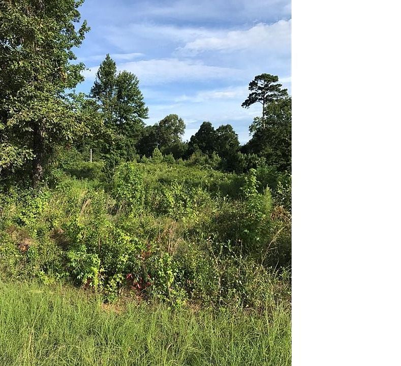 2nd image of 1819 Linton Rd