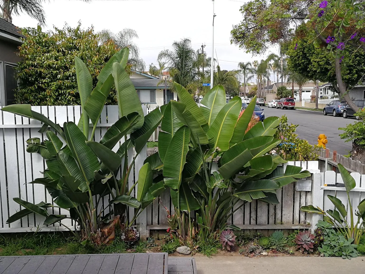 1024 1/2 Florida St — Photo 4