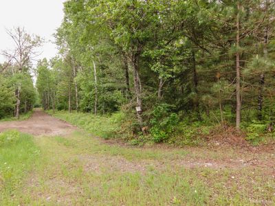 60A Wards Trl, Iron River, MI, 49935