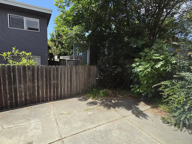 2126 California St #3 — Photo 16