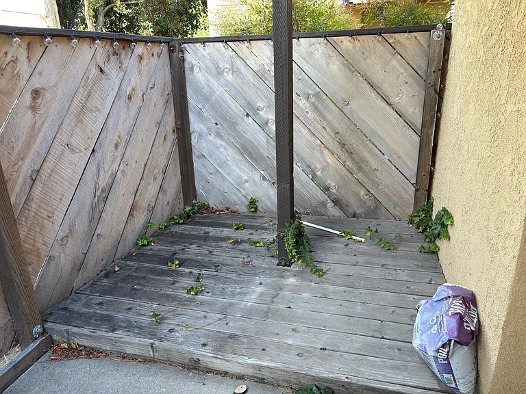 570 Peach St #26 — Photo 25