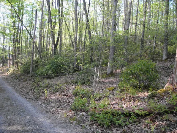 S Teter Creek Rd, Montrose, WV 26283