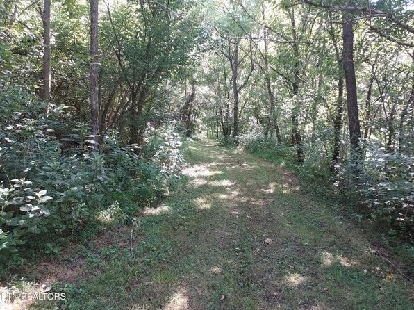 Pawpaw Rd, Thorn Hill, TN 37881