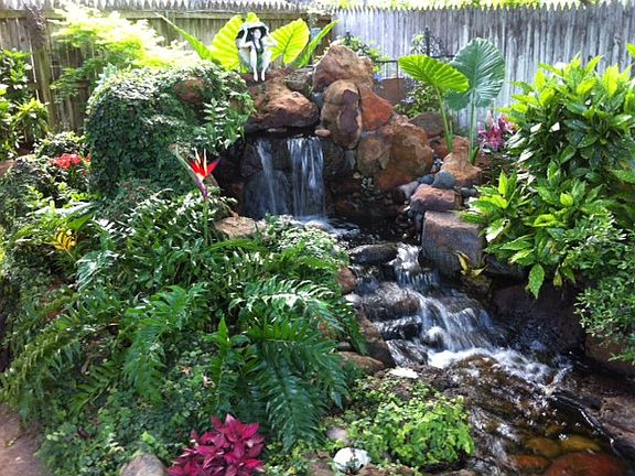 Pretty Pond Low Maintenance