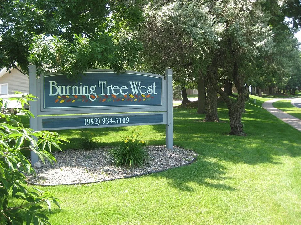 Burning Tree West