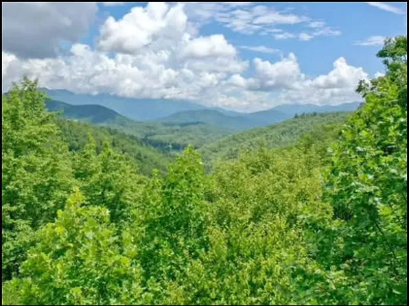 0 Sometimes Creek Rd, Sylva, NC 28779