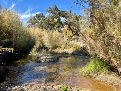 31638 Road 400, Coarsegold, CA, 93614