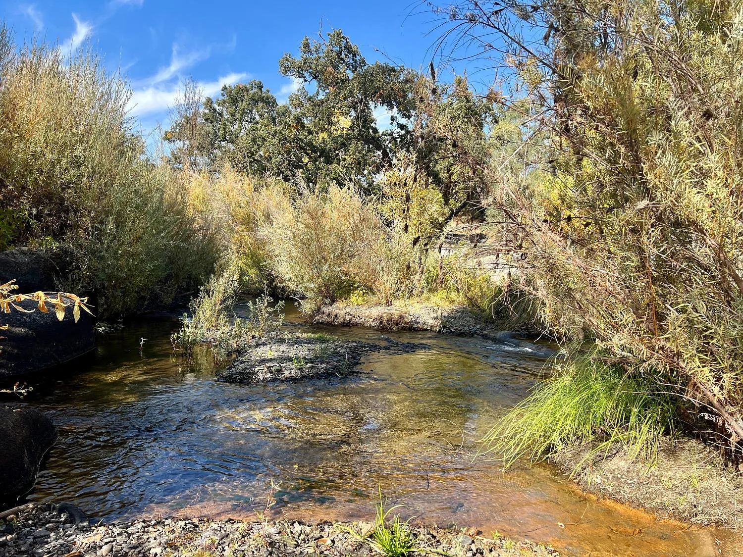 31638 Road 400 photo 1