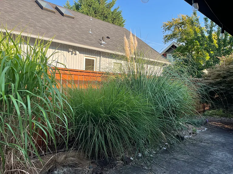 6935 SE Cora St — Photo 34
