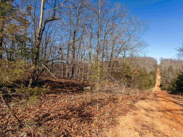 0 Buck Ridge Ln, Williford, AR 72482