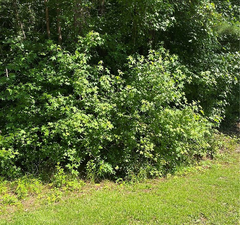 2nd image of 118 Augusta National