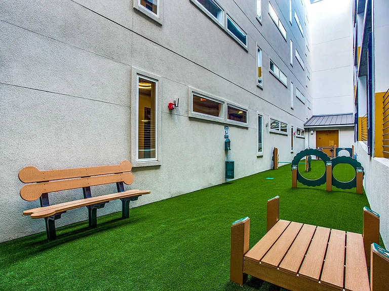 Luxe dog park with owners' lounge