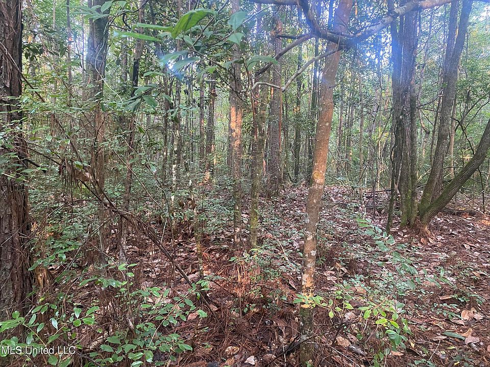 2nd image of 102 Kirby Creek Rd