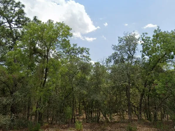 3064 W Pine Ridge Blvd, Beverly Hills, FL 34465