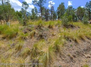 LOT 6 Pine Knot Trl, Alto, NM 88312