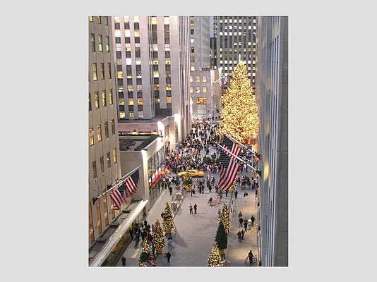 Rented by Stribling | media 13