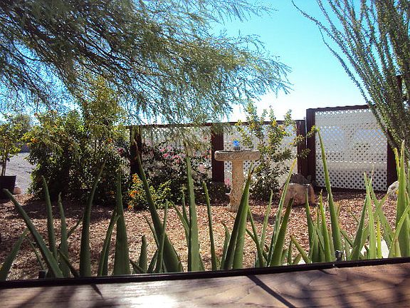 Interior Window View