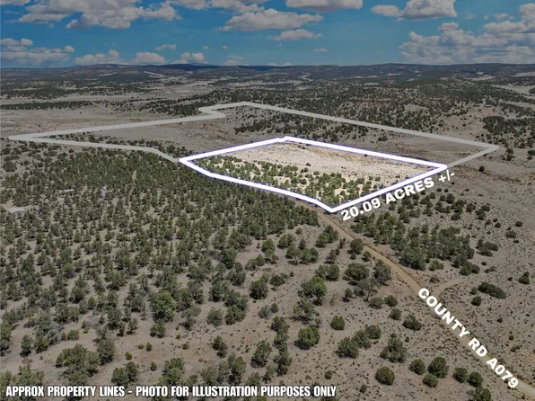 3 Slurry Rd, Pie Town, NM 87827