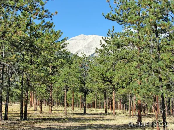 16703 Pine Grove Pkwy, Buena Vista, CO 81211