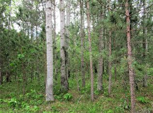 Lot 111 & 112 Bridle Road, Webster, WI 54893