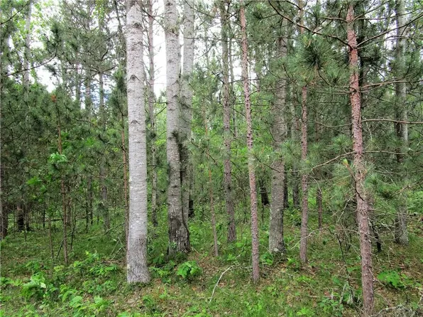 Lot 111 & 112 Bridle Road, Webster, WI 54893