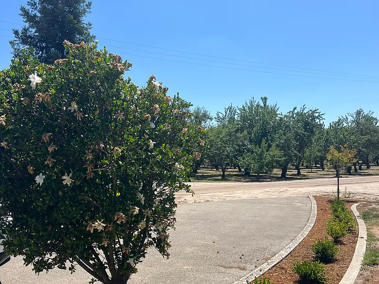 22866 S Austin Rd — Photo 4