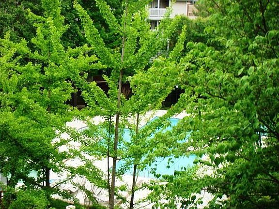 3rd image of 1534 Lincoln Way APT 302A
