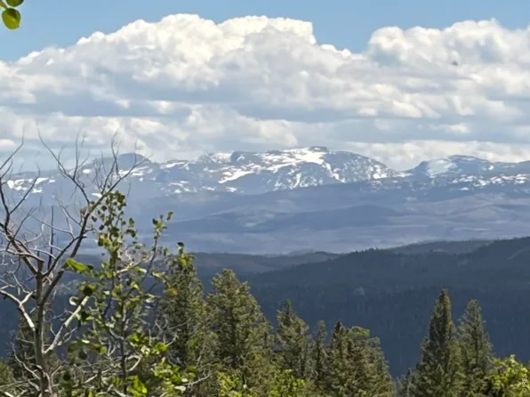 115 Wenro Ct, Red Feather Lakes, CO 80545