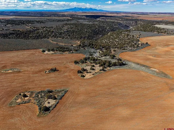 3995 County Road P, Dove Creek, CO 81324