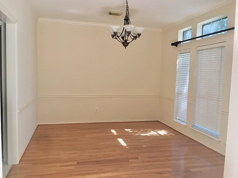308 Pinnacle Cove Ct — Photo 20