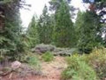 1st image of 3466 Woodlake Dr #39-B