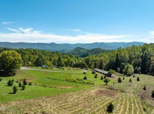 1311 Deer Run Rd, Mountain City, TN 37683