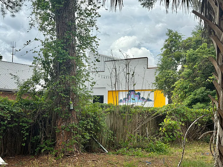 Front Yard, Sharing a fence with Cypress and Grove Brewery