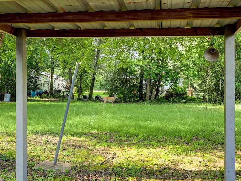9193 Lucille Ln — Photo 29
