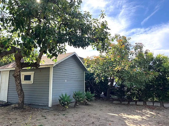 Backyard & back of garage