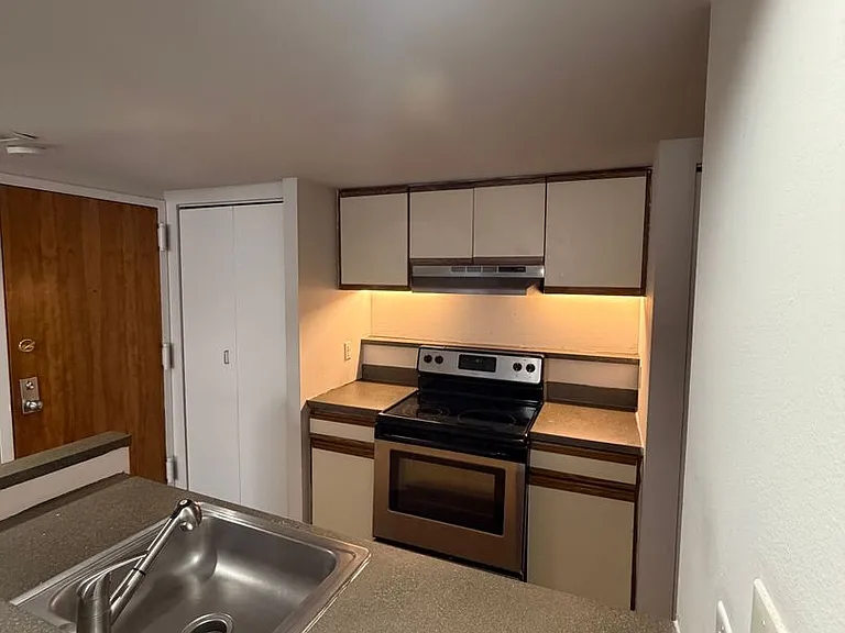 237 Chestnut St #1-411 — Photo 4