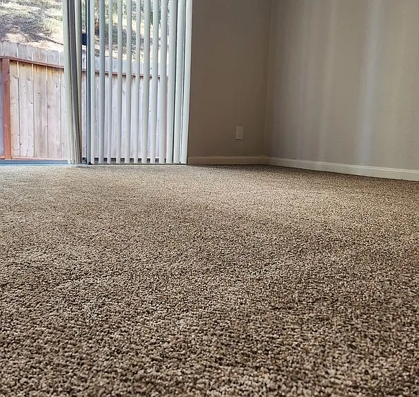31932 Del Cielo Este — Photo 32