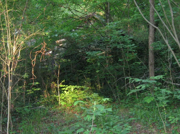 Mt Pleasant Rd, Vonore, TN 37885